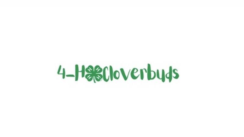 4-H Cloverbud Club logo