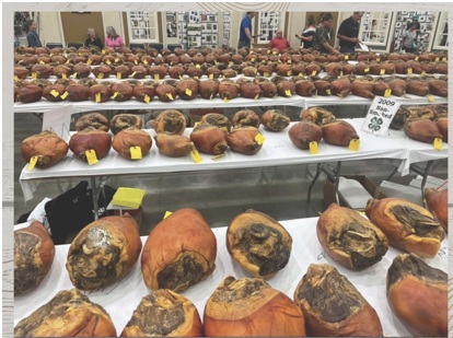 4-H Country Ham photo