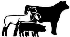 4-H Livestock Logo