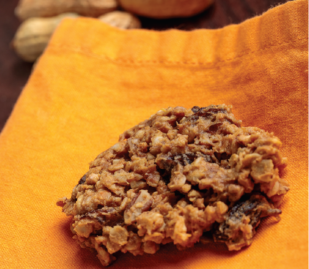 Peanut Butter Oatmeal Bites photo