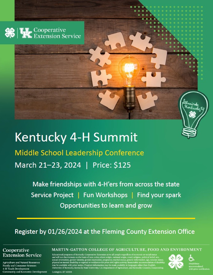 Fleming County 4-H Teen Summit Flyer 2024