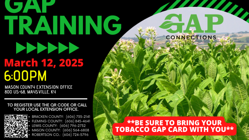 Tobacco GAP Training flyer photo