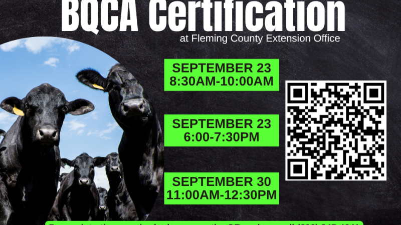 BQCA Fall 2025 flyer