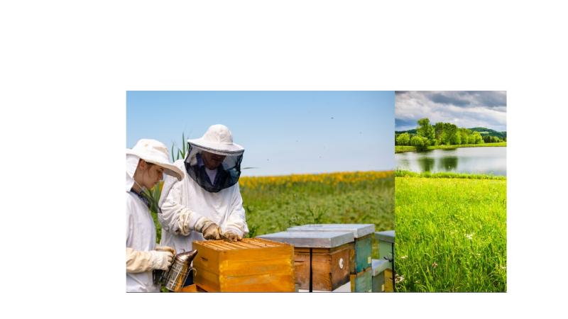 Farm School for Women photo