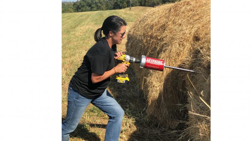 Hay testing photo