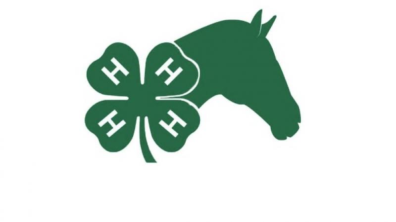 4-H Horse Club 